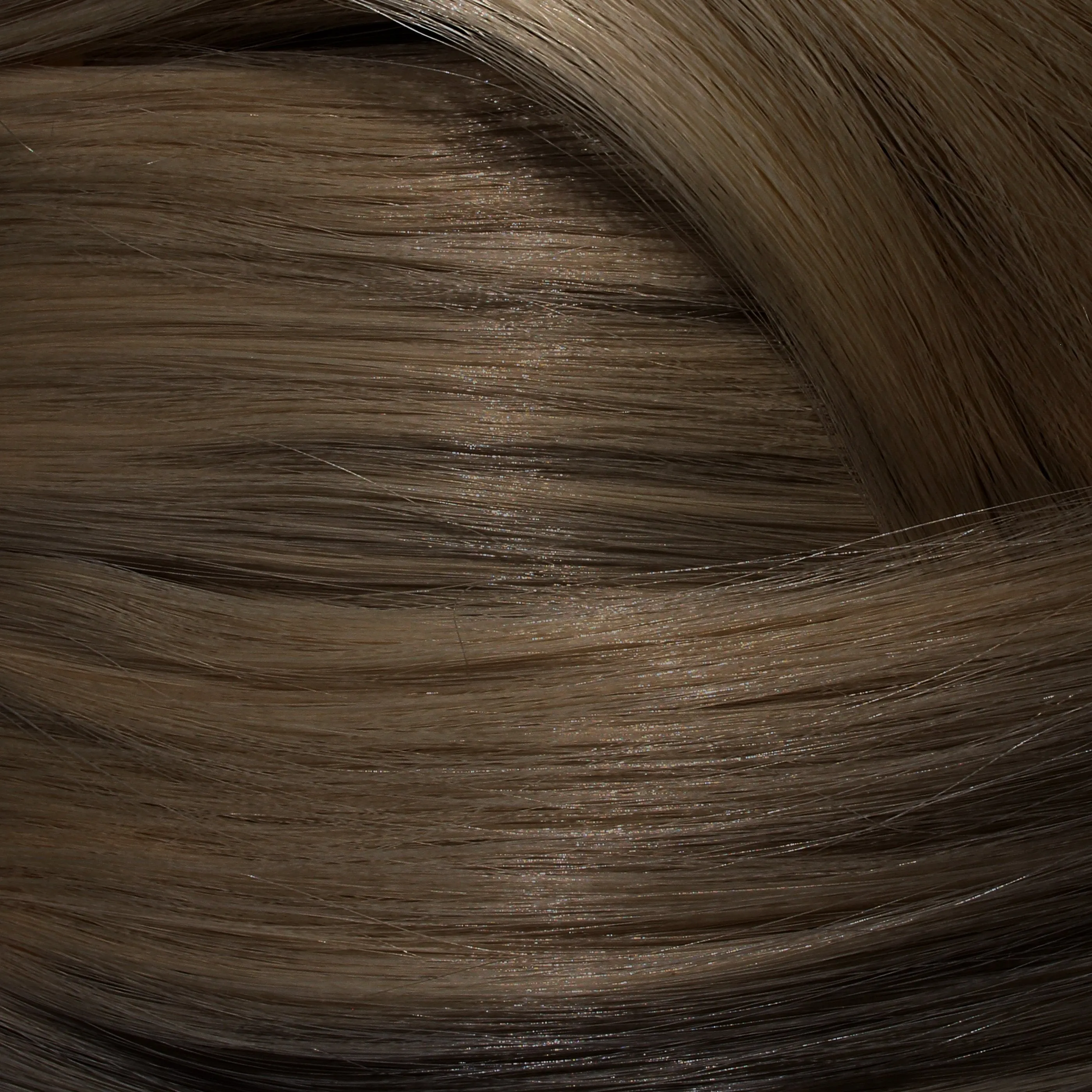 Grey Regrowth Touch Up Bundle