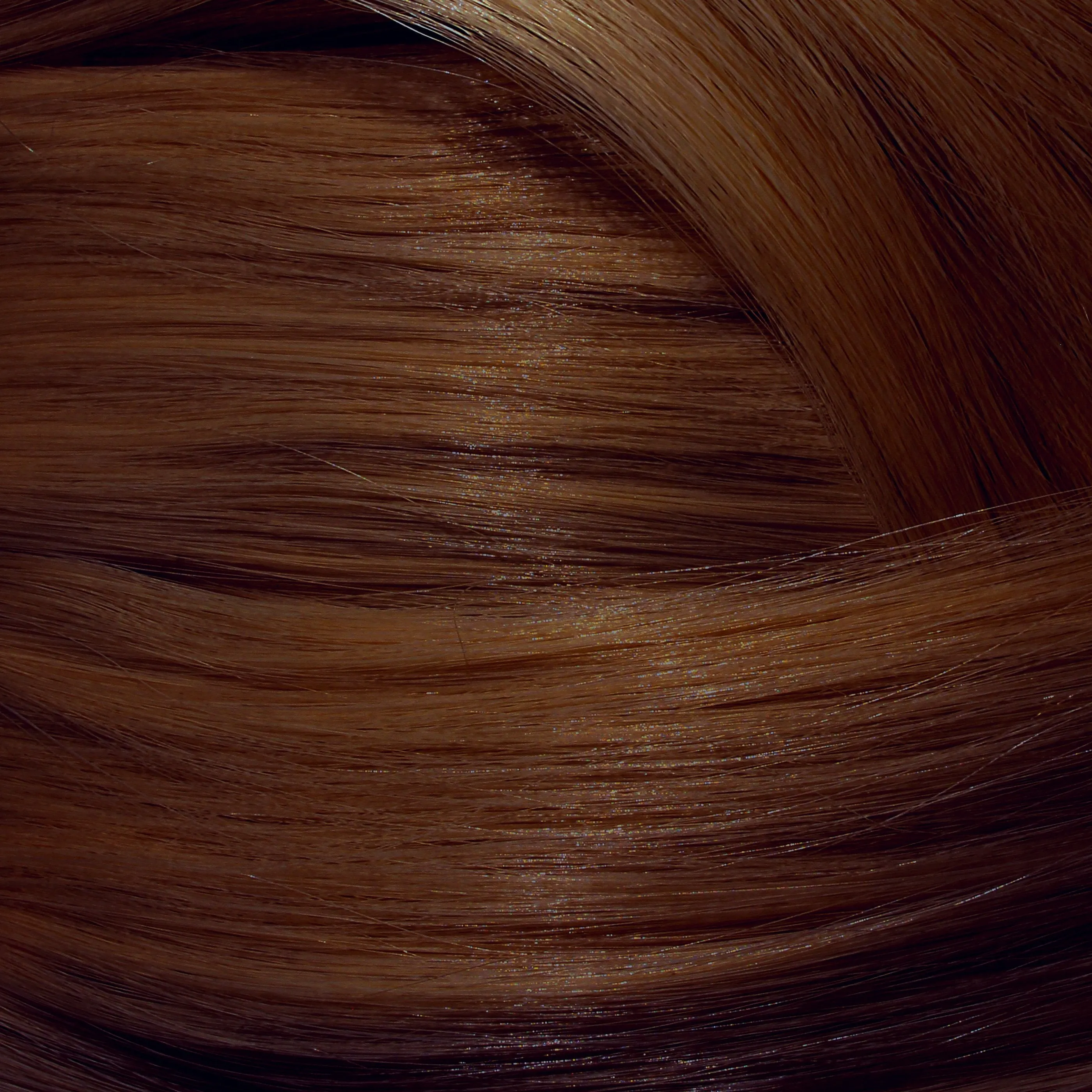 Grey Regrowth Touch Up Bundle