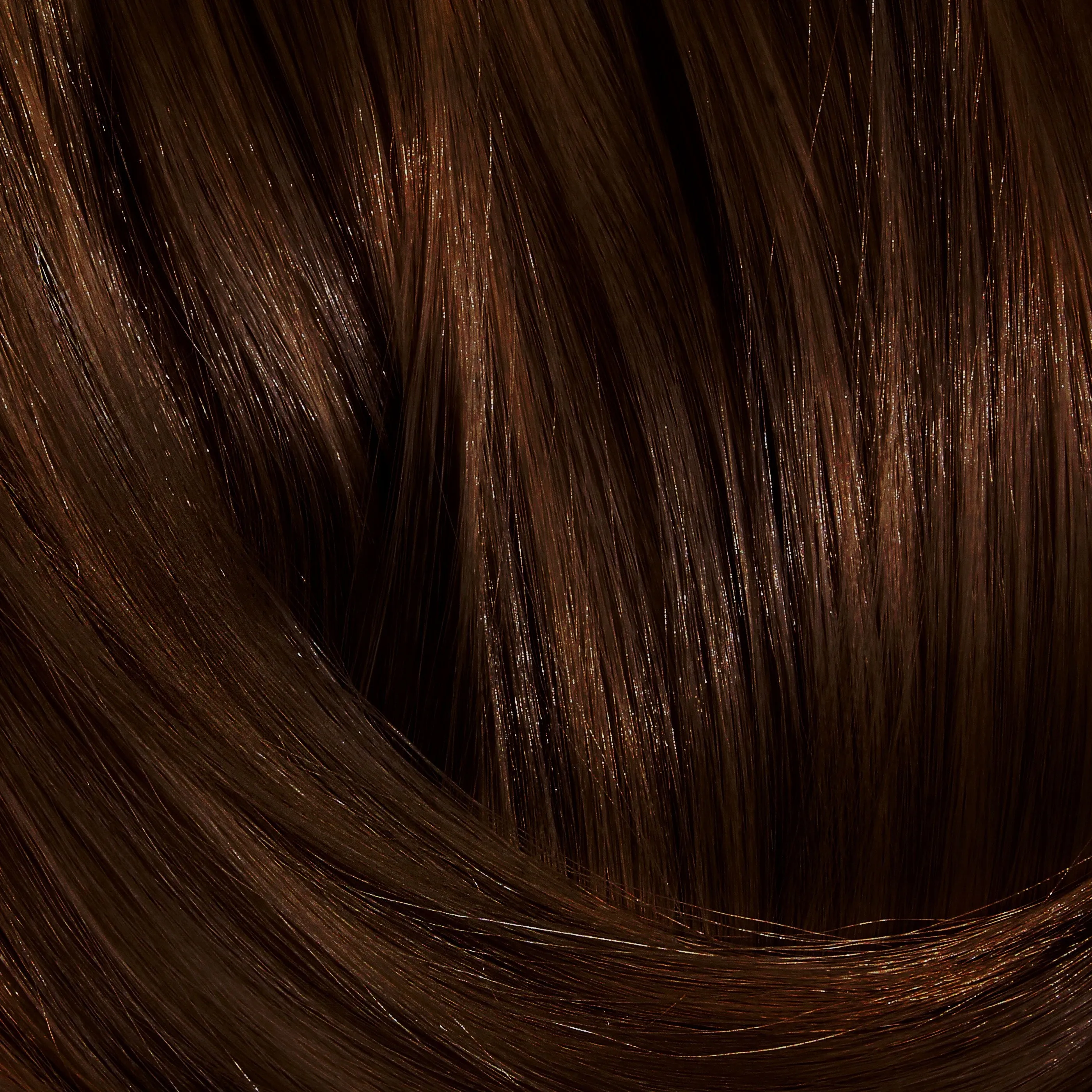 Grey Regrowth Touch Up Bundle